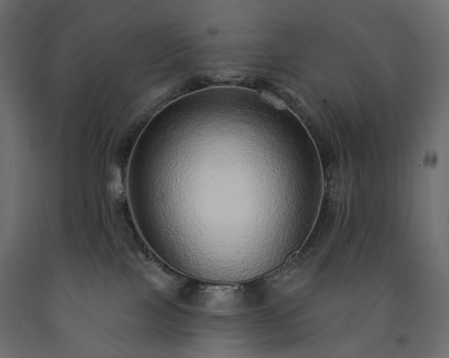 X0000091560089200708241825