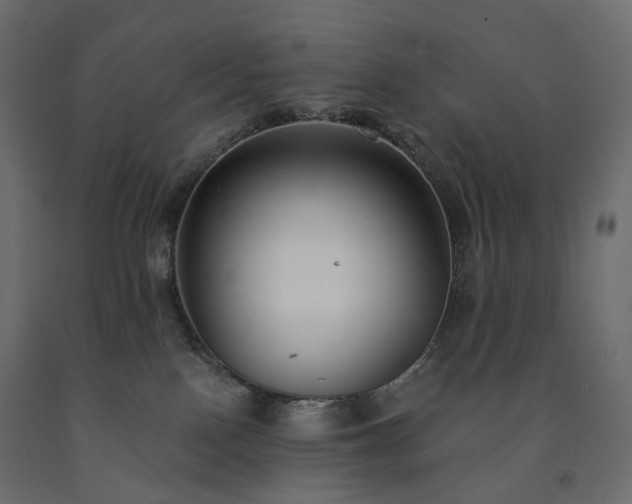 X0000091560090200708241825