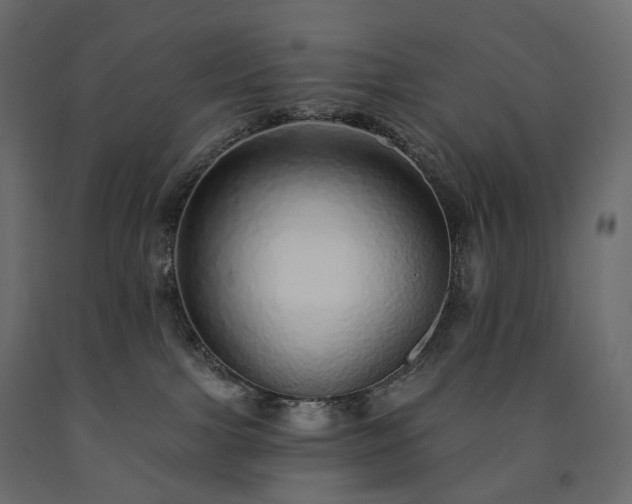 X0000091560091200708241825