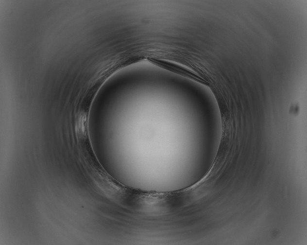 X0000091560094200708241825