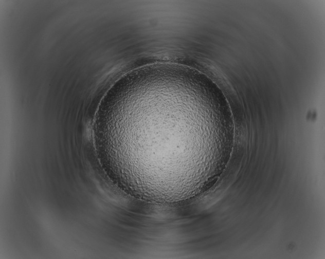 X0000091560095200708241825