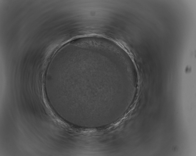 X0000091560097200708241824