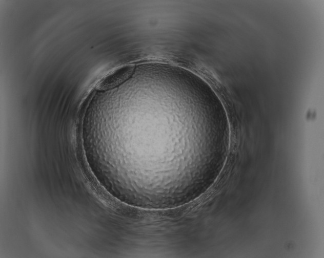 X0000091560098200708241824