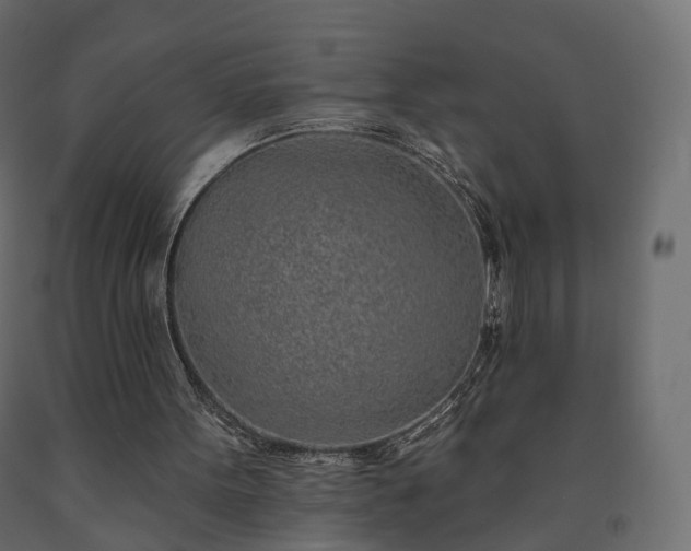 X0000091560099200708241824