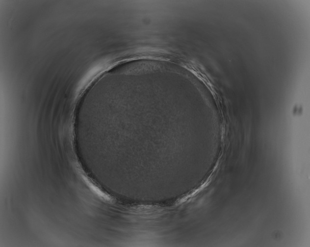 X0000091560101200708241824