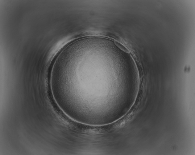 X0000091560103200708241824