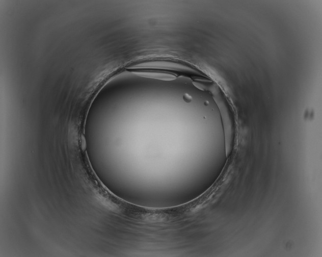 X0000091560105200708241824