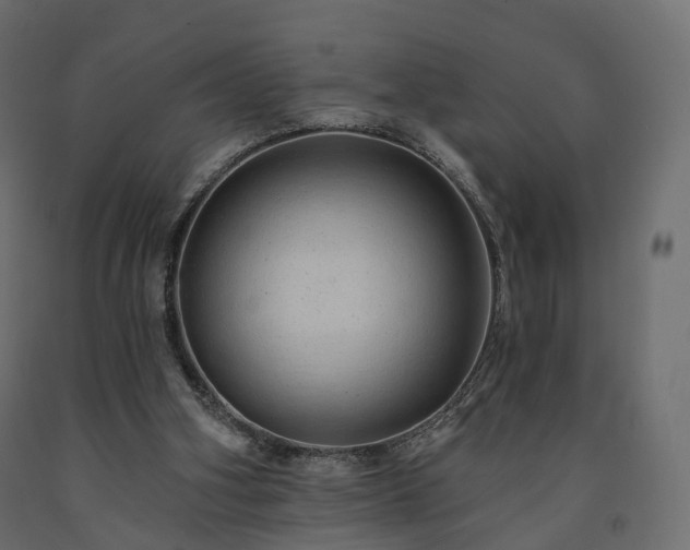 X0000091560106200708241824