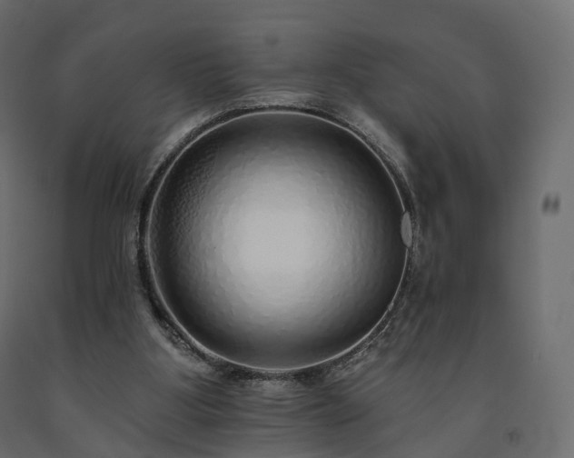 X0000091560107200708241824