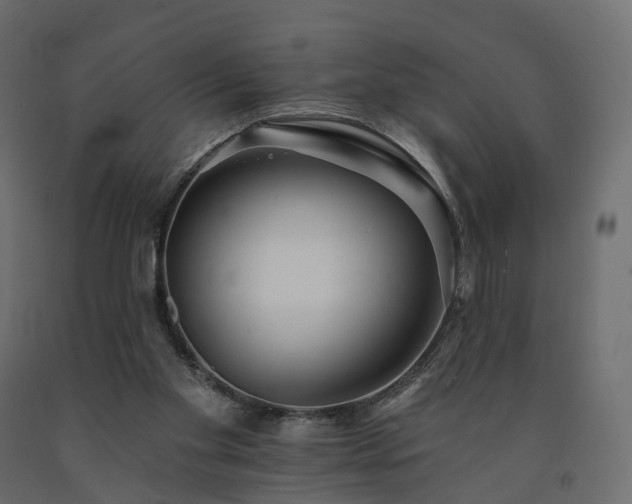 X0000091560109200708241824