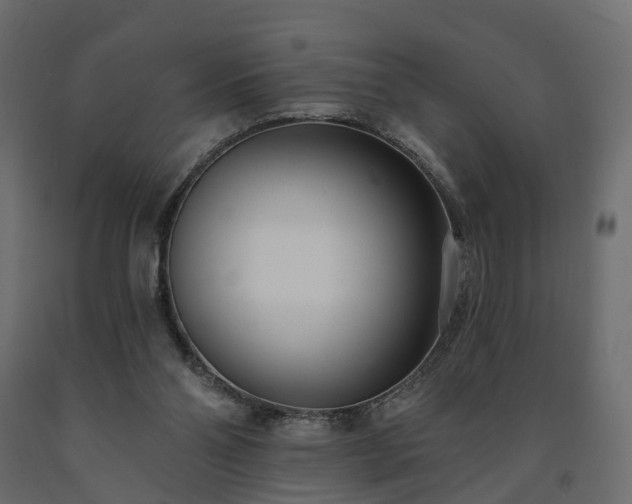 X0000091560110200708241824