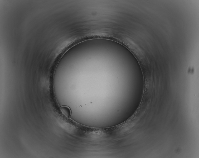 X0000091560112200708241824