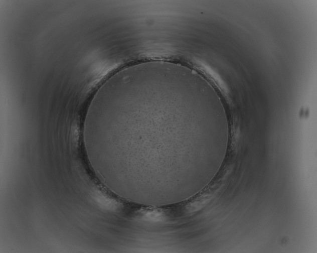 X0000091560113200708241824