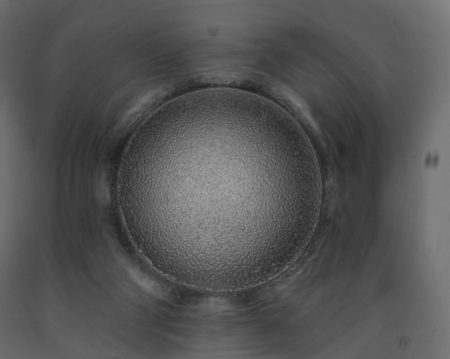 X0000091560114200708241824