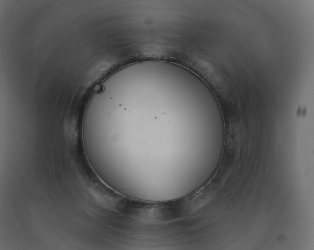 X0000091560116200708241824