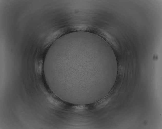 X0000091560118200708241824