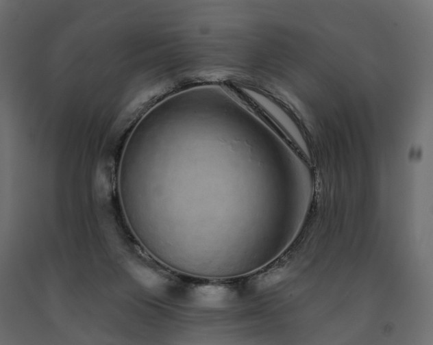 X0000091560119200708241824