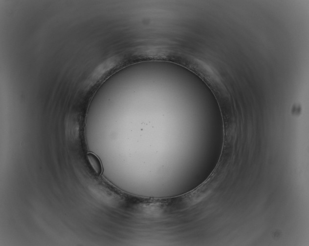 X0000091560120200708241824