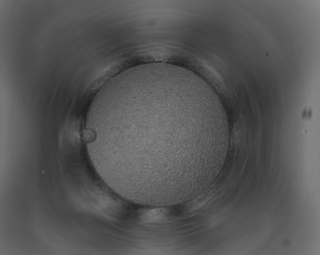 X0000091560122200708241824