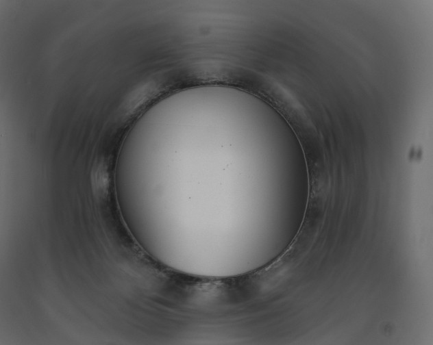 X0000091560124200708241824