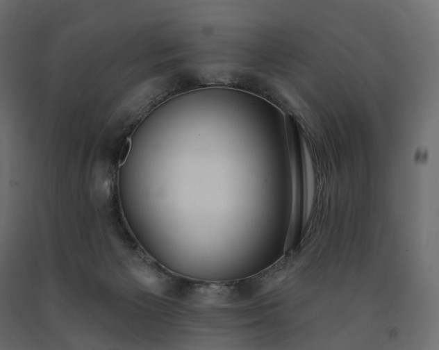 X0000091560125200708241824