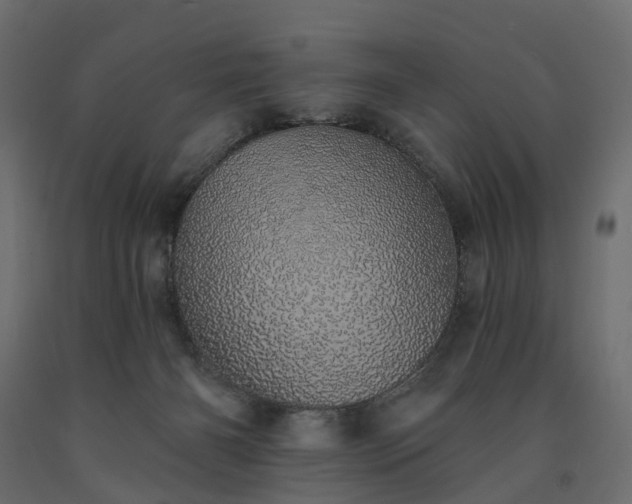 X0000091560126200708241824