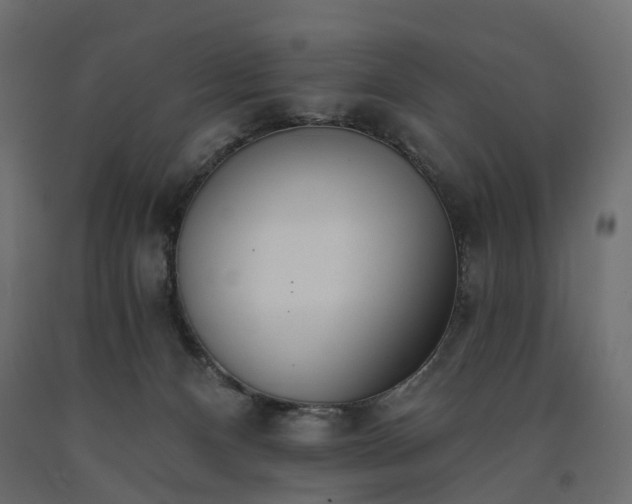 X0000091560128200708241824