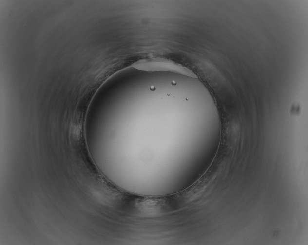 X0000091560129200708241824