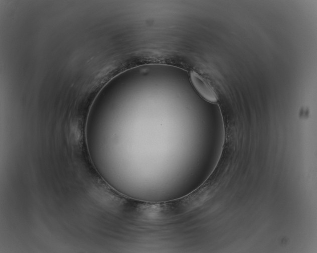 X0000091560131200708241824