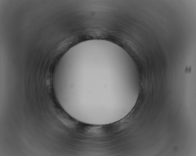 X0000091560132200708241824