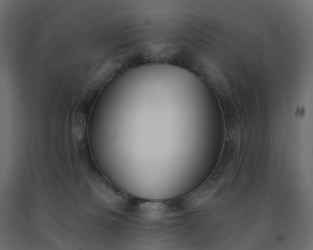 X0000091560133200708241824