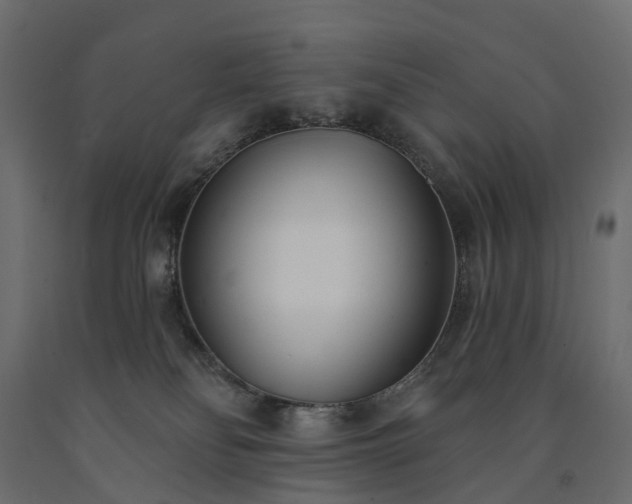 X0000091560134200708241824