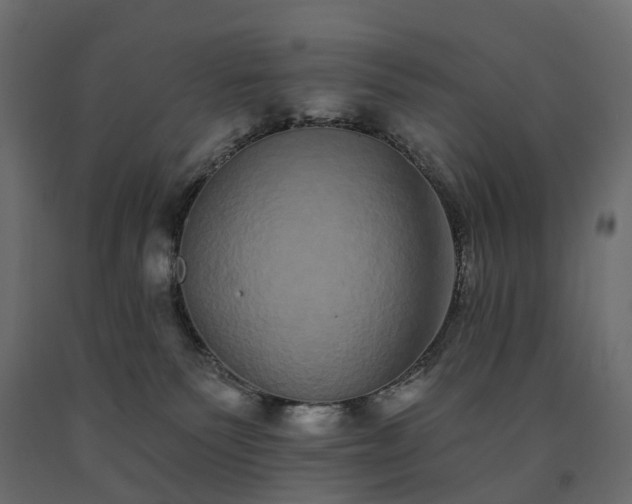 X0000091560135200708241824