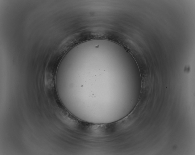 X0000091560136200708241824