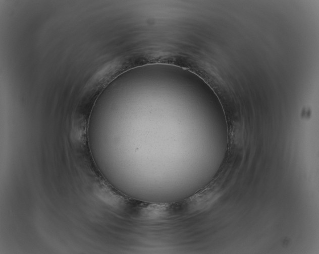 X0000091560138200708241823