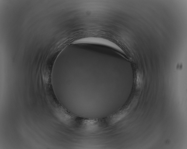 X0000091560139200708241823