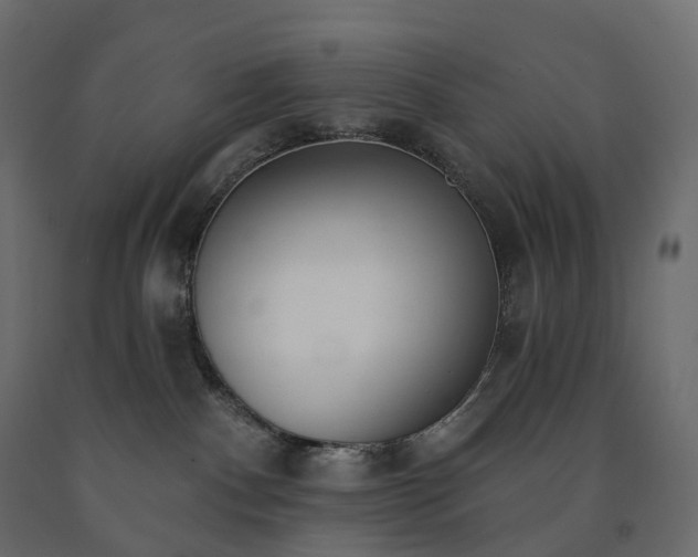 X0000091560140200708241823