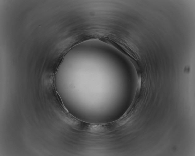 X0000091560141200708241823