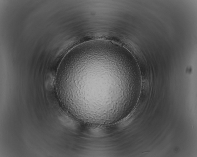 X0000091560142200708241823