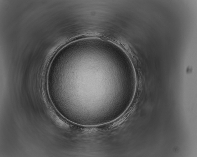 X0000091560145200708241823