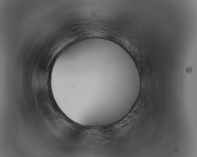 X0000091560146200708241823