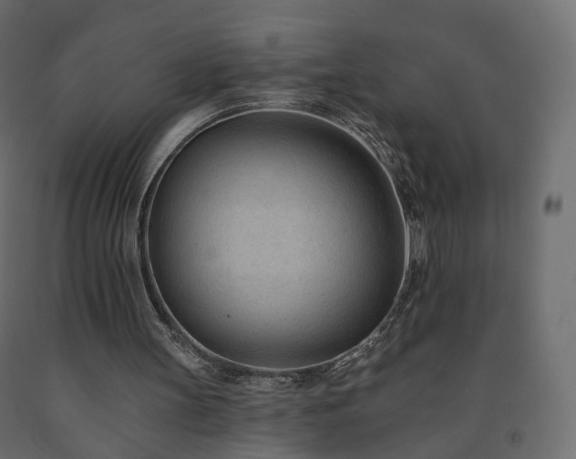 X0000091560147200708241823