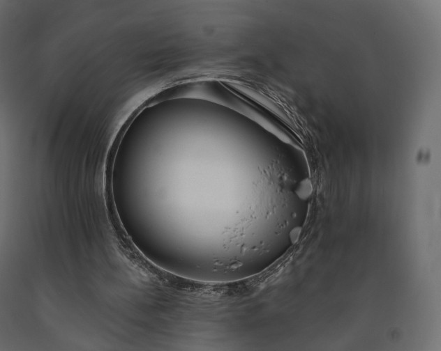 X0000091560148200708241823