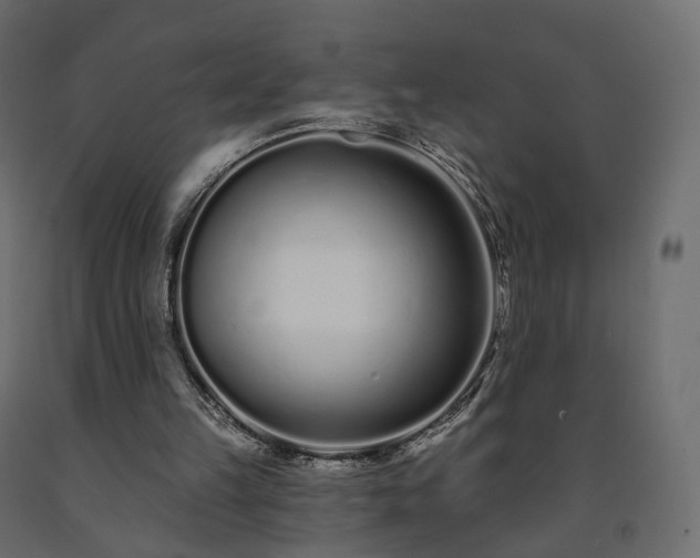 X0000091560149200708241823