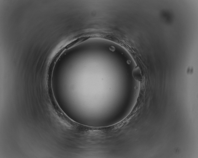 X0000091560150200708241823