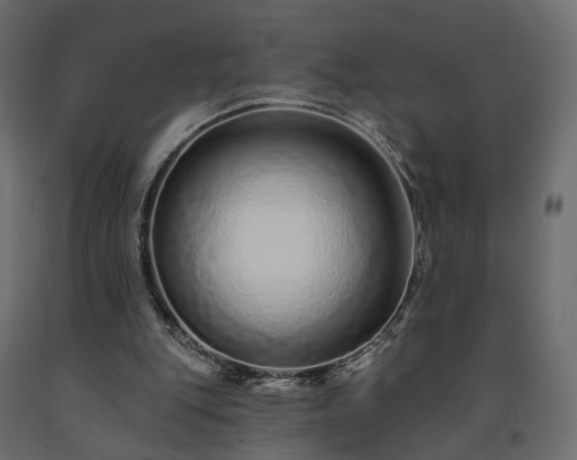 X0000091560151200708241823