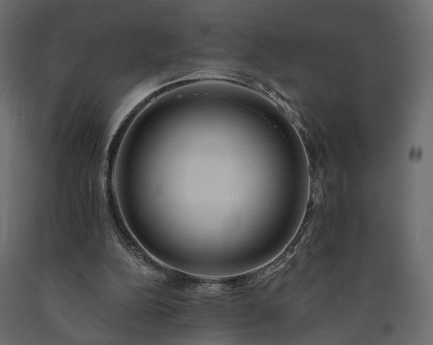 X0000091560152200708241823