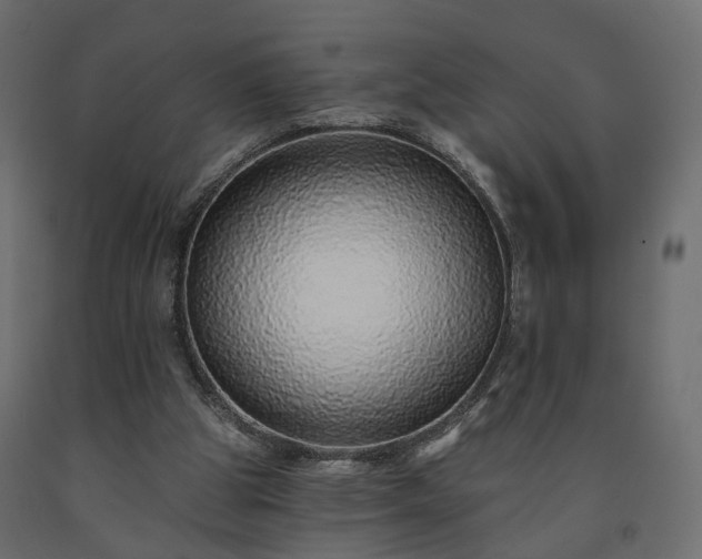 X0000091560153200708241823