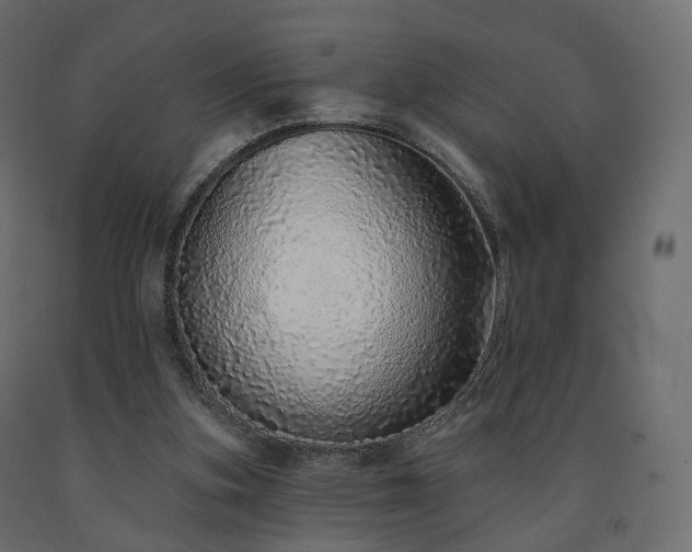 X0000091560155200708241823