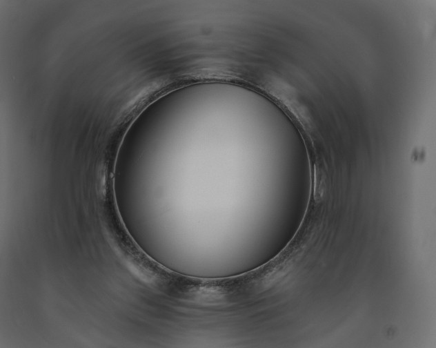 X0000091560157200708241823